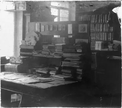 Kabinet L.N. Tolstogo. V IAsnoi polianie