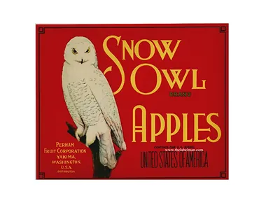 Snow Owl Brand Apples fruit crate label
