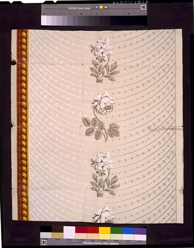 [Wallpaper design number forty three, by Messrs. Virchaux & Co. Ground imitating a drapery, shaded and lighted by stripes and ornaments in sections of a circle, printed in grey and white on a lighter grey ground. The center is ornamented with ascending bunches of roses and cape jessamine alternately, on one side a bar ascending composed of pearls, gold colors]
