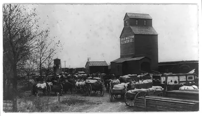 [N.D. - Mandan - many horse-drawn wagons loaded with wheat at the railroad freight depot; large grain elevator]