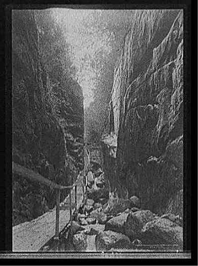 The Flume, looking up, Franconia Notch, White Mts., N.H.