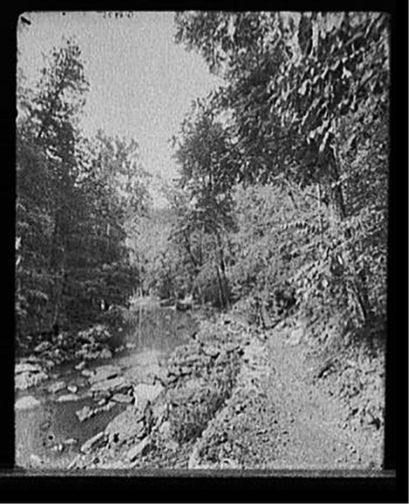 [The Glen above the bridge, Natural Bridge, Va.], [between 1900 and 1915] — historic photograph