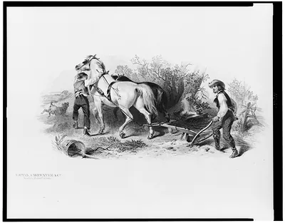 [Bank note illustration showing farmers plowing field]