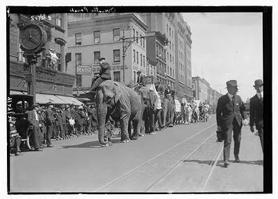 Overalls "Circus Parade"