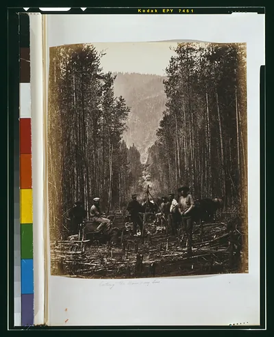 Cutting the boundary line