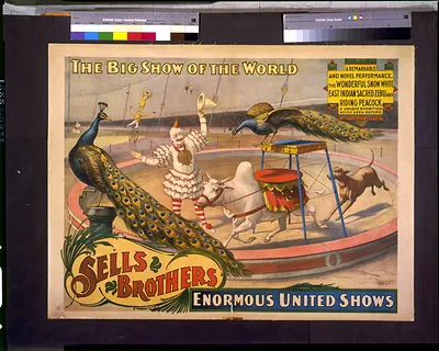 Sells Brothers enormous united shows. ... The wonderful Snow White ... zebu and riding peacock