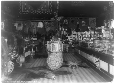 Interior of H.E. Klamer's curio store, Yellowstone Pk., Wyo.