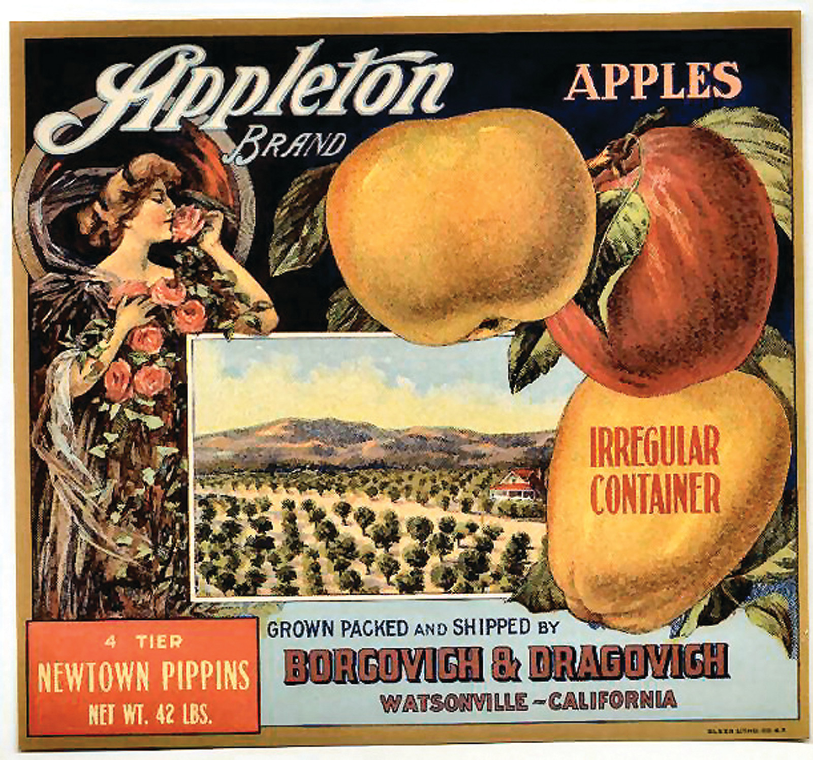 Appleton Brand Apples label, Borgovich & Dragovich, Watsonville California — historic image