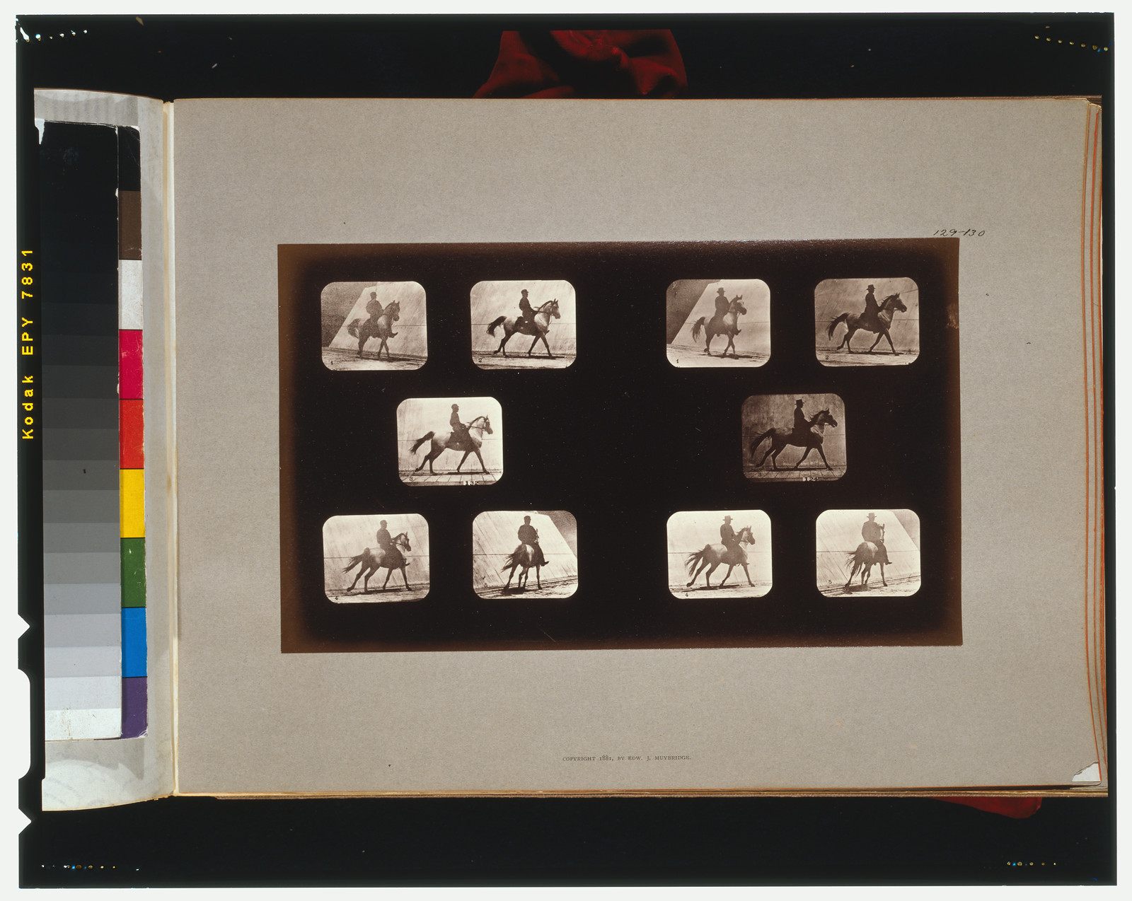 Horses. Cantering, [San Francisco] : Muybridge, c1881. — historic photograph