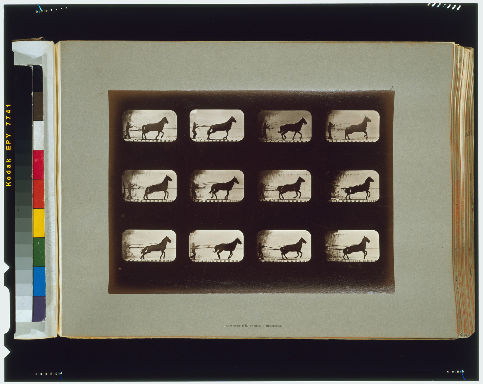 Horses. Irregular, [San Francisco] : Muybridge, c1881. — historic photograph