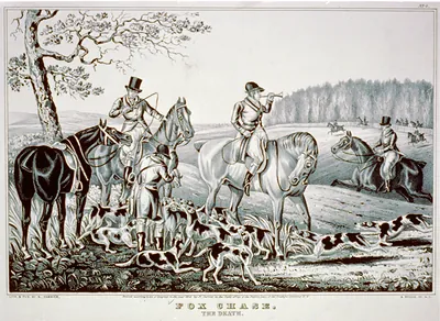 Fox chase: The death