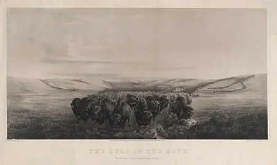 The herd on the move / painted & drawn by W.J. Hays ; printed by Endicott & Co.