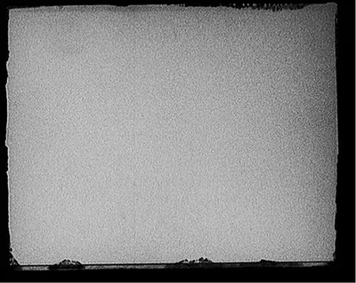 [A Cornfield, Mich.]