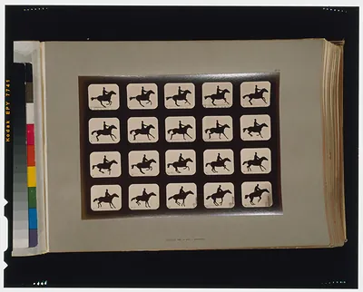 Horses. Leaping a 3 ft. 6 hurdle