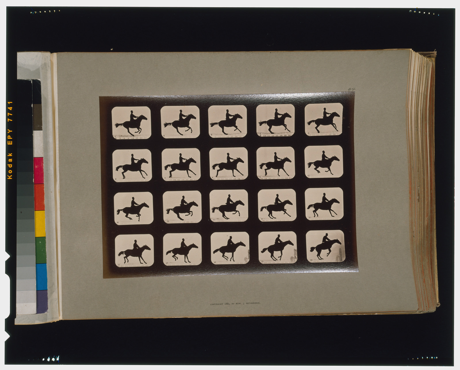 Horses. Leaping a 3 ft. 6 hurdle, [San Francisco] : Muybridge, c1881. — historic photograph