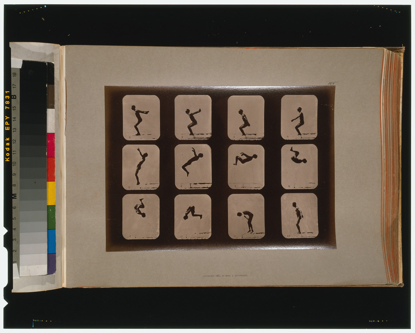 Athletes. Back summersault, [San Francisco] : Muybridge, c1881. — historic photograph