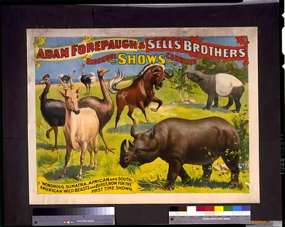 Adam Forepaugh & Sells Brothers enormous shows combined. Wondrous Sumatra, African and South-American wild beasts and birds, ...
