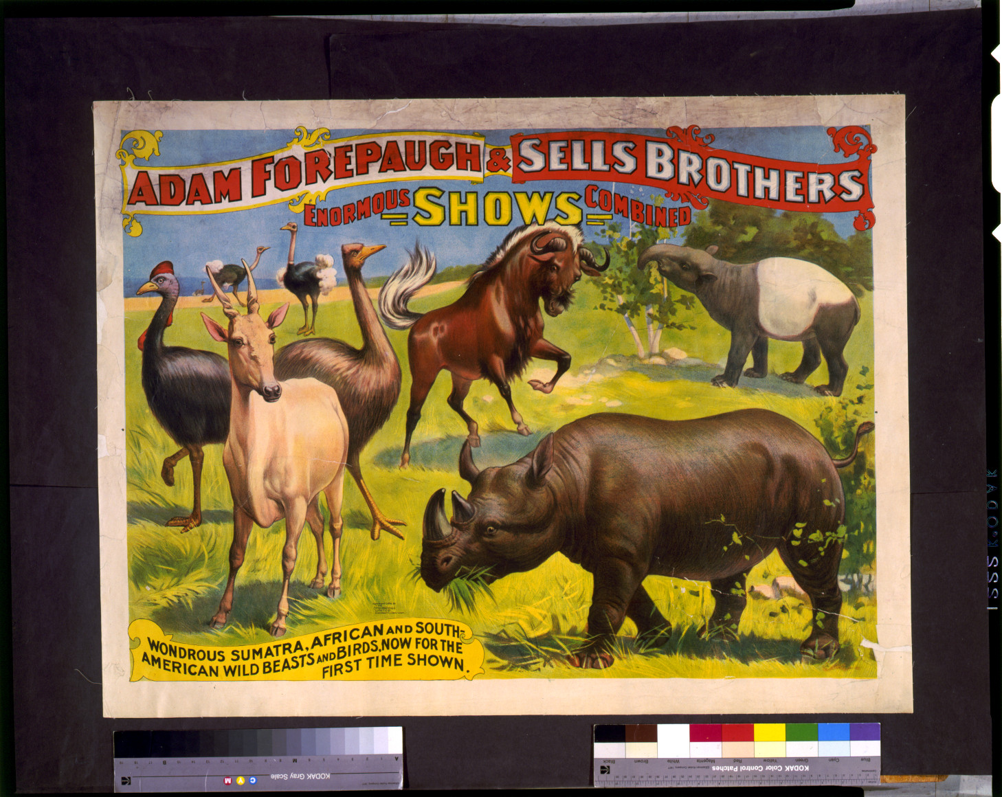Adam Forepaugh & Sells Brothers enormous shows combined. Wondrous Sumatra, African and South-American wild beasts and birds, ..., c1896. — vintage poster