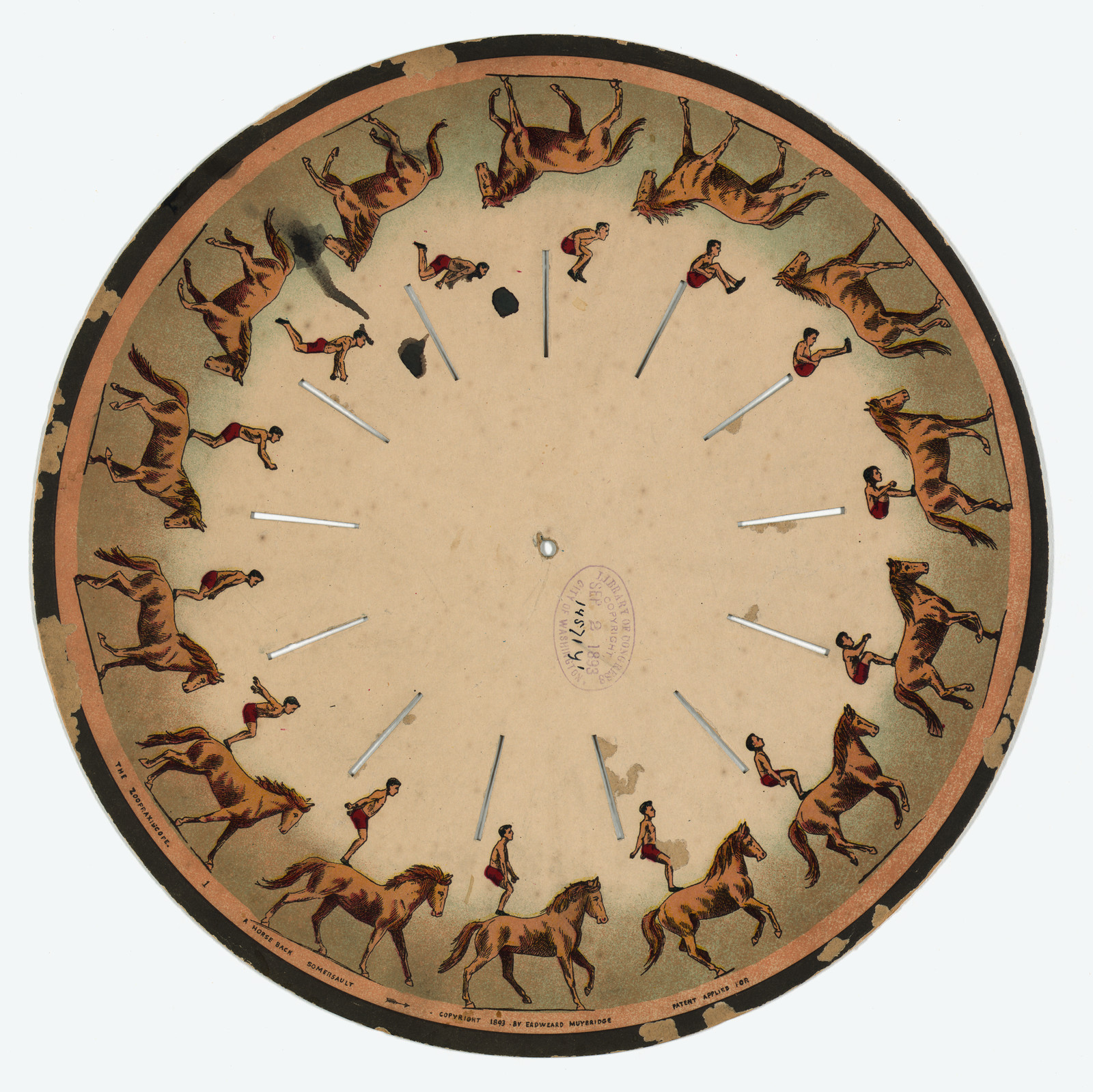 The Zoopraxiscope - A Horse Back Somersault — historic image