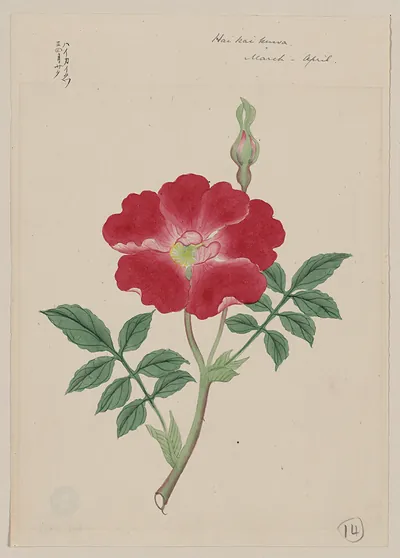 [Japanese drawing]