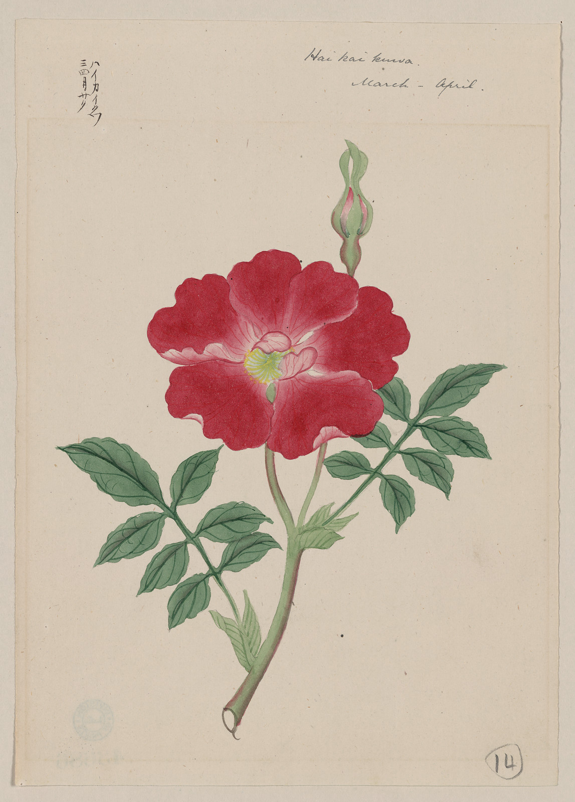 [Japanese drawing], 1750 — historic drawing