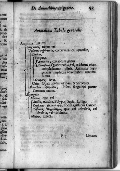 Animalium tabula generalis