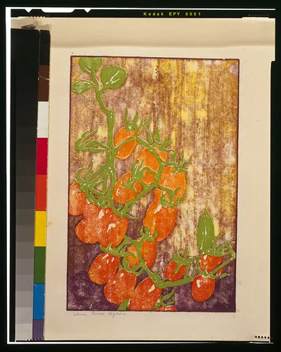 Color woodcut of tomato vine with orange fruit
