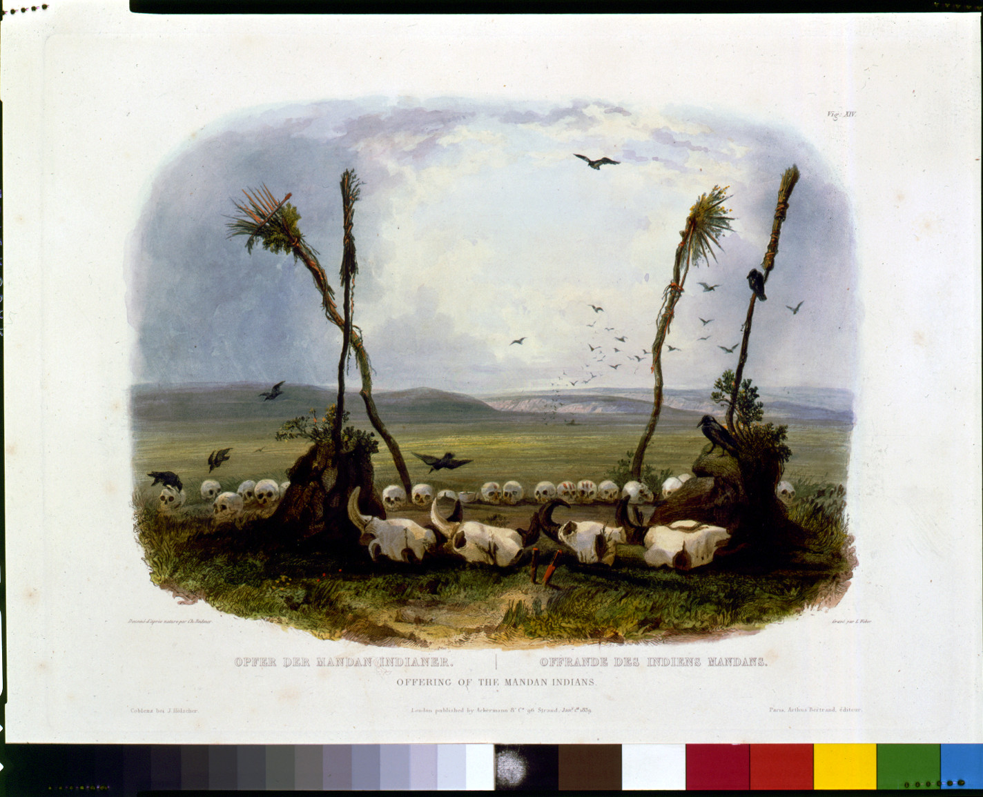 Offering of the Mandan Indians — historic image