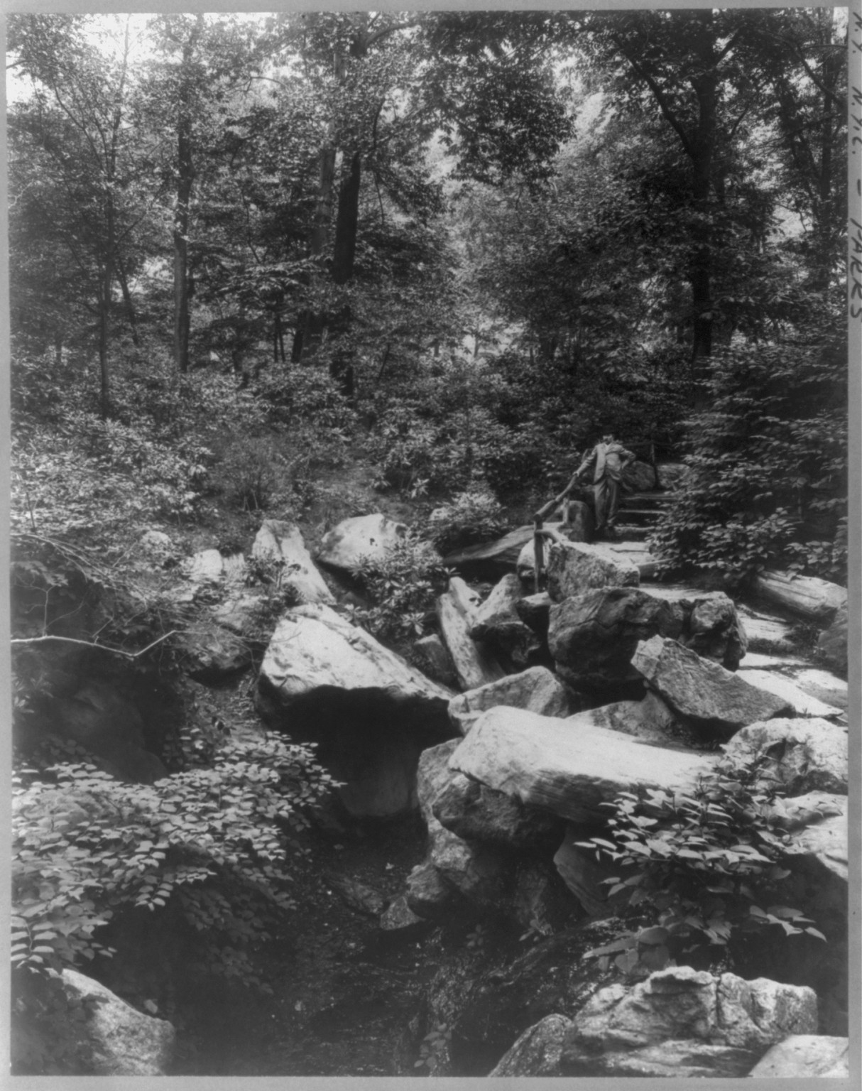 New York City - Central Park: The Ramble, c1905 June 15. — historic photograph