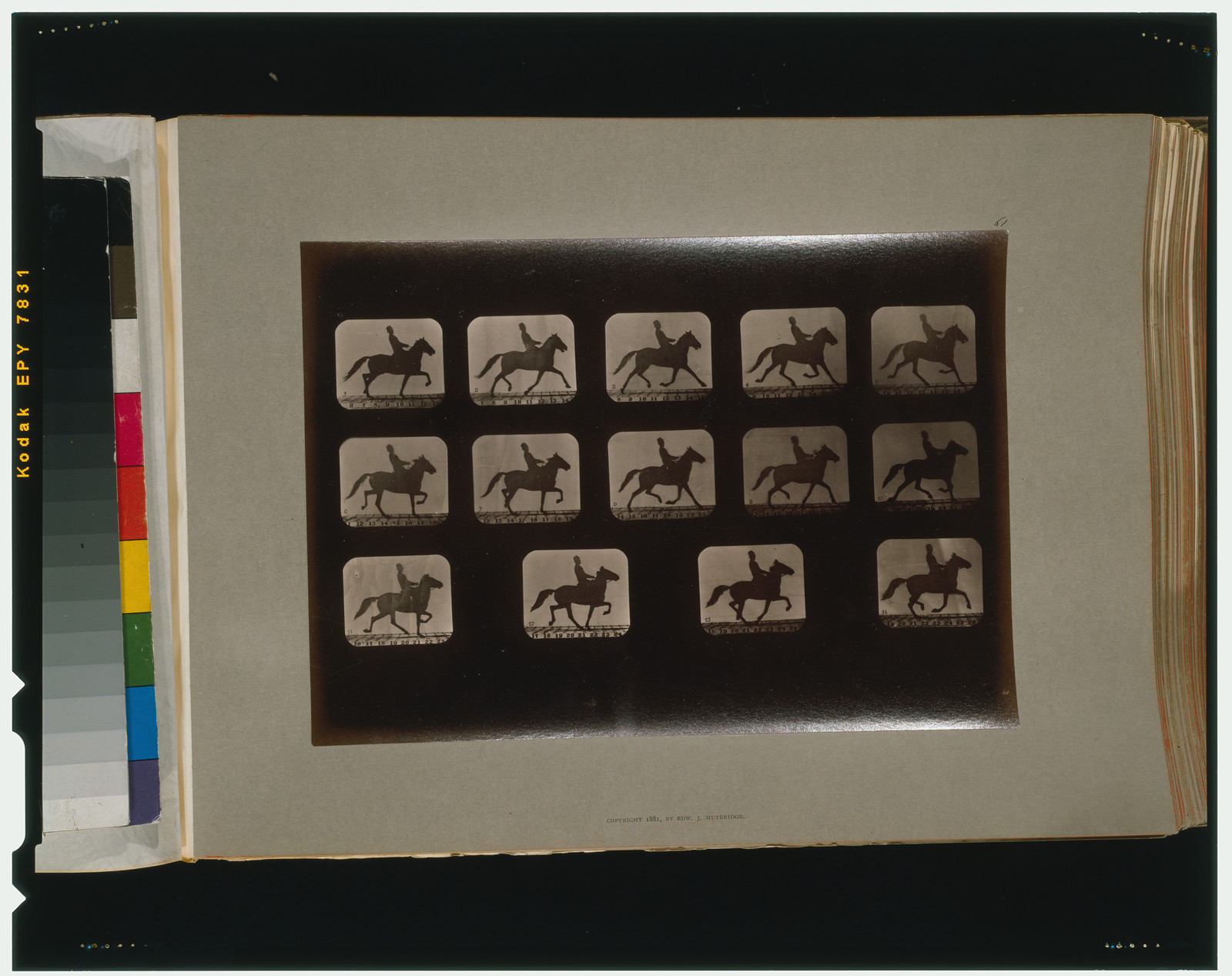 Horses. Irregular, [San Francisco] : Muybridge, c1881. — historic photograph
