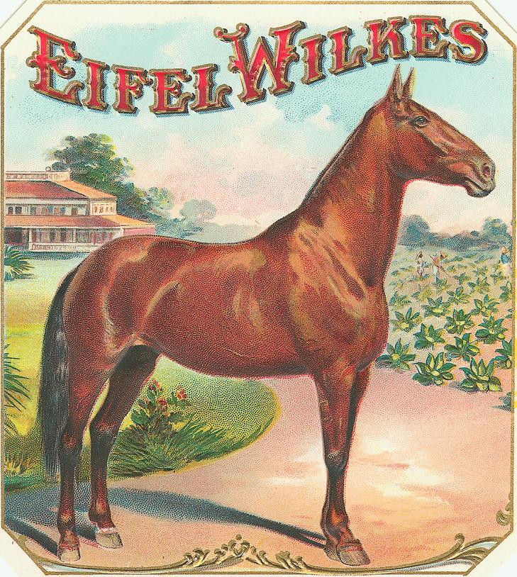 Eifel Wilkes cigar box label with a brown horse — historic image