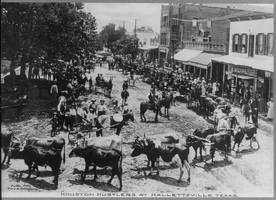 Texas - Hallettsville - Houston hustlers