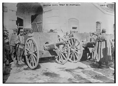 Serbian guns taken by Austrians