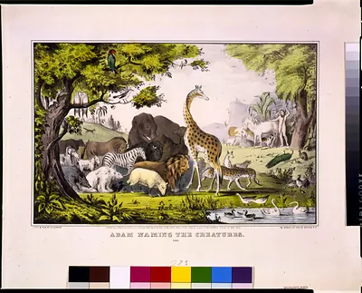 Adam naming the creatures/Adam Llamo los Animales