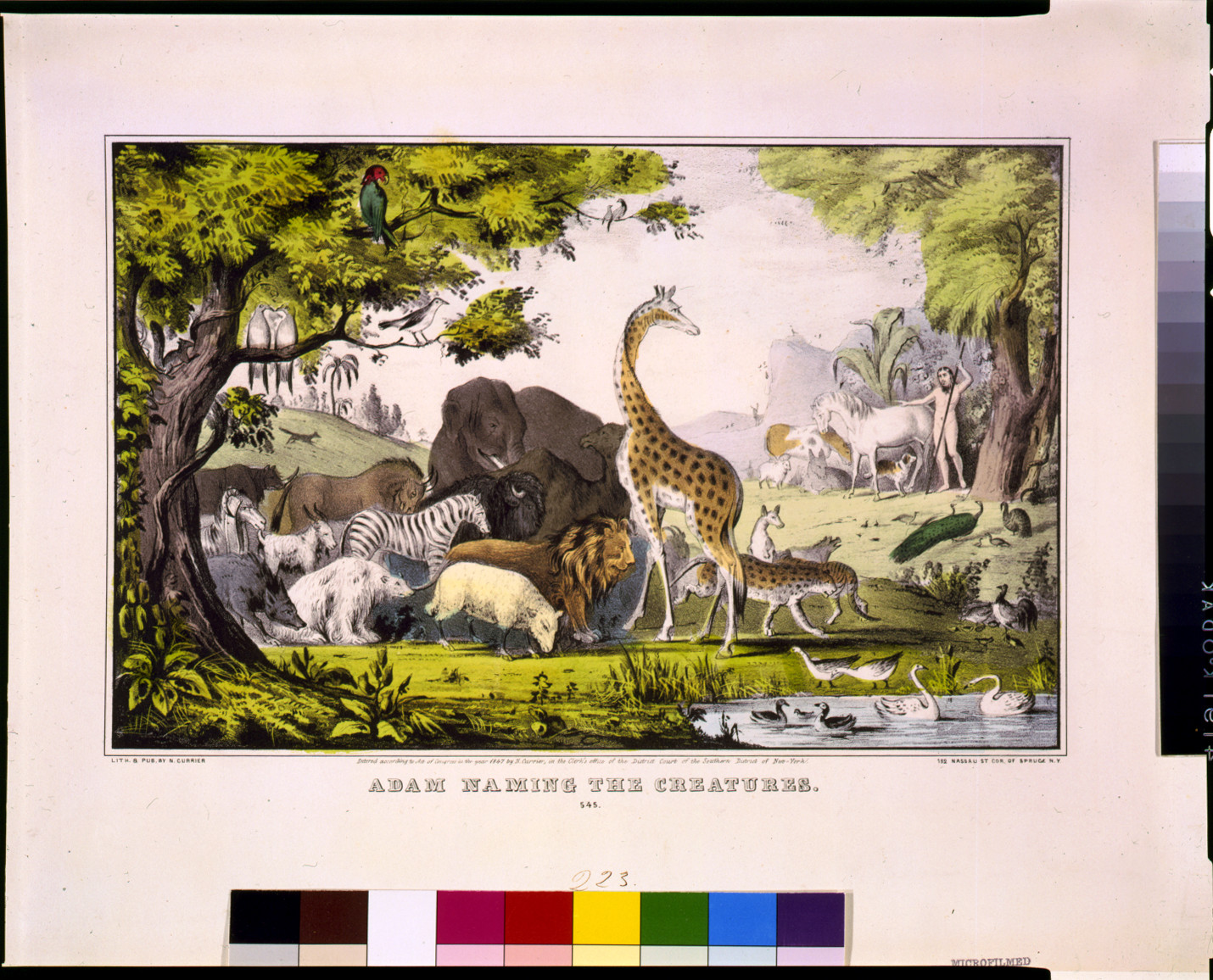 Adam naming the creatures/Adam Llamo los Animales, [New York] : N. Currier, 1847. — antique lithograph
