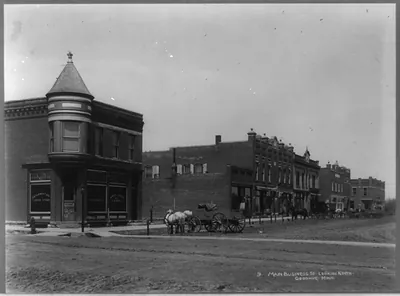 Main business street, looking north, Goodhue, Minn.