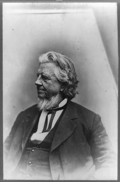 [David Kellogg Cartter, Chief Justice, half-length portrait, facing left]
