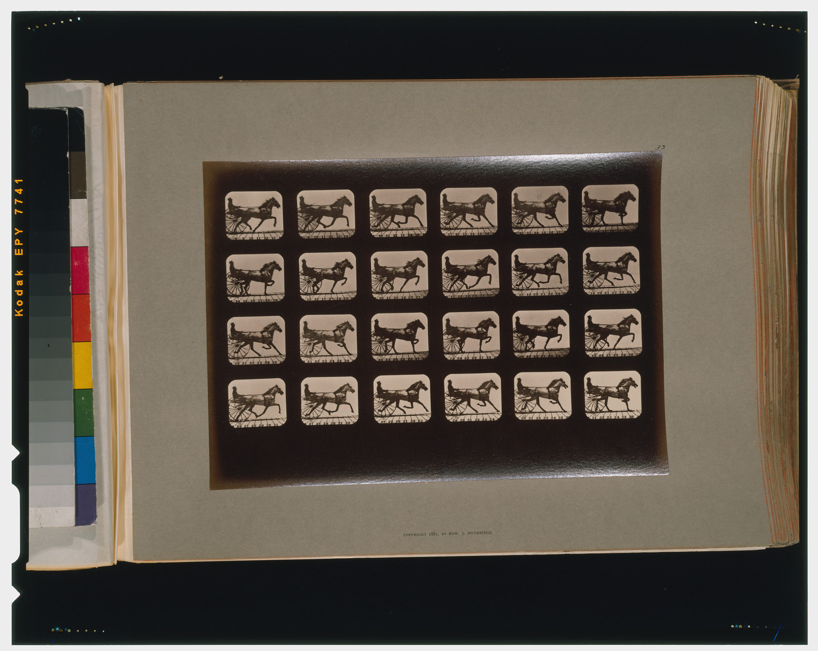 Horses. Trotting, [San Francisco] : Muybridge, c1881. — historic photograph