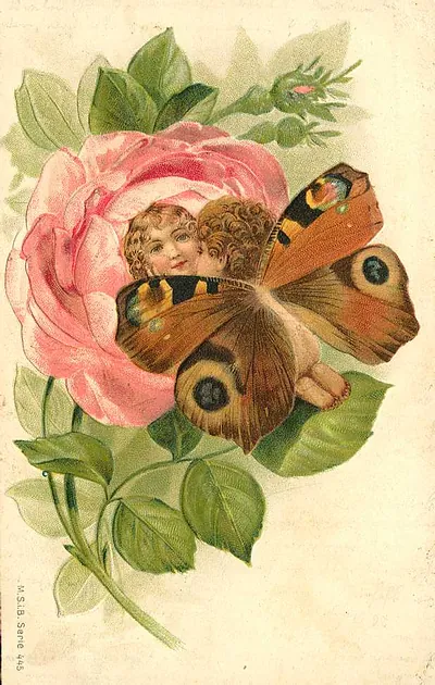 Pink rose and butterfly-winged child, chromolithograph postcard