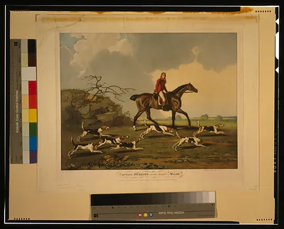 Captain Ricketts on his hunter Mask" / Benj. Marshall pinxt. ; Robert Houston."