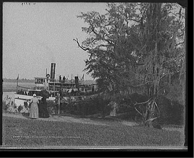 Steamer landing, Magnolia-on-the-Ashley, Charleston, S.C.