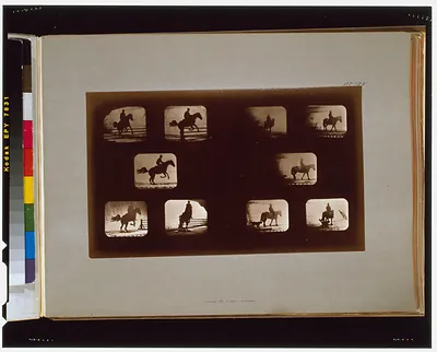 Horses. Leaping--Horses. Walking