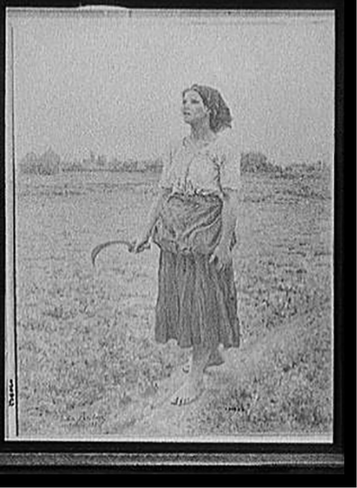 [Song of the lark], [between 1900 and 1920] — historic photograph