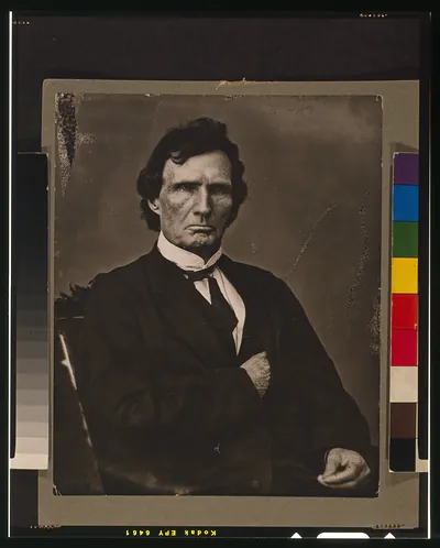 [Thaddeus Stevens, half-length portrait, seated, facing front]