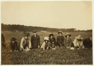 Group of Workers on Smart's Bog. Location: South Carver [vicinity], Massachusetts.