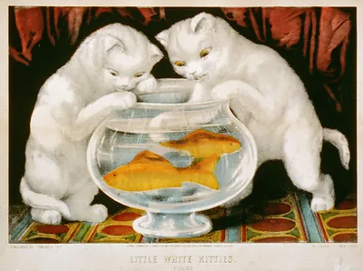 Little white kitties: fishing