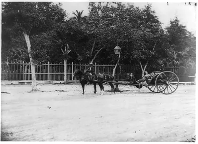 Quitrin con fuelle hechado, Habana / C.D. Fredricks y Daries, Calle de la Habana, no. 108.