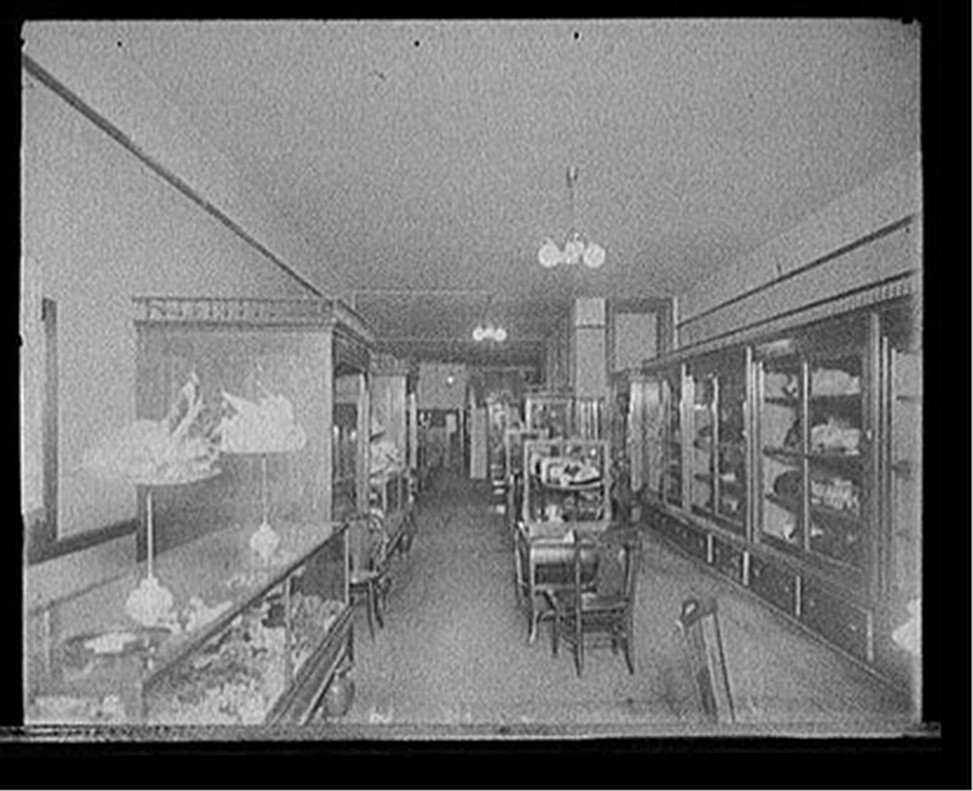 [Millinery and hat store, possibly Detroit, Michigan], [between 1900 and 1920] — historic photograph