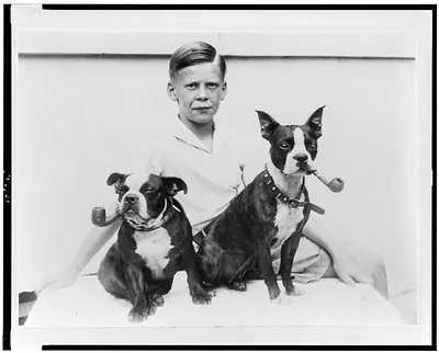 Pipe puffing puppies puzzle proud possessor / photo by Underwood & Underwood.