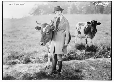 Alice Calhoun with cow